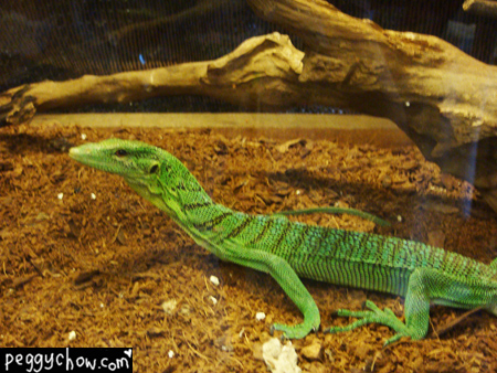 dsc03542-copy.jpg