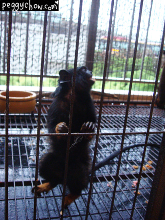 dsc03566-copy.jpg