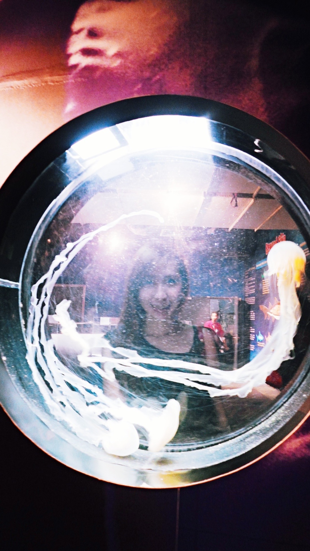20131020-131929.jpg