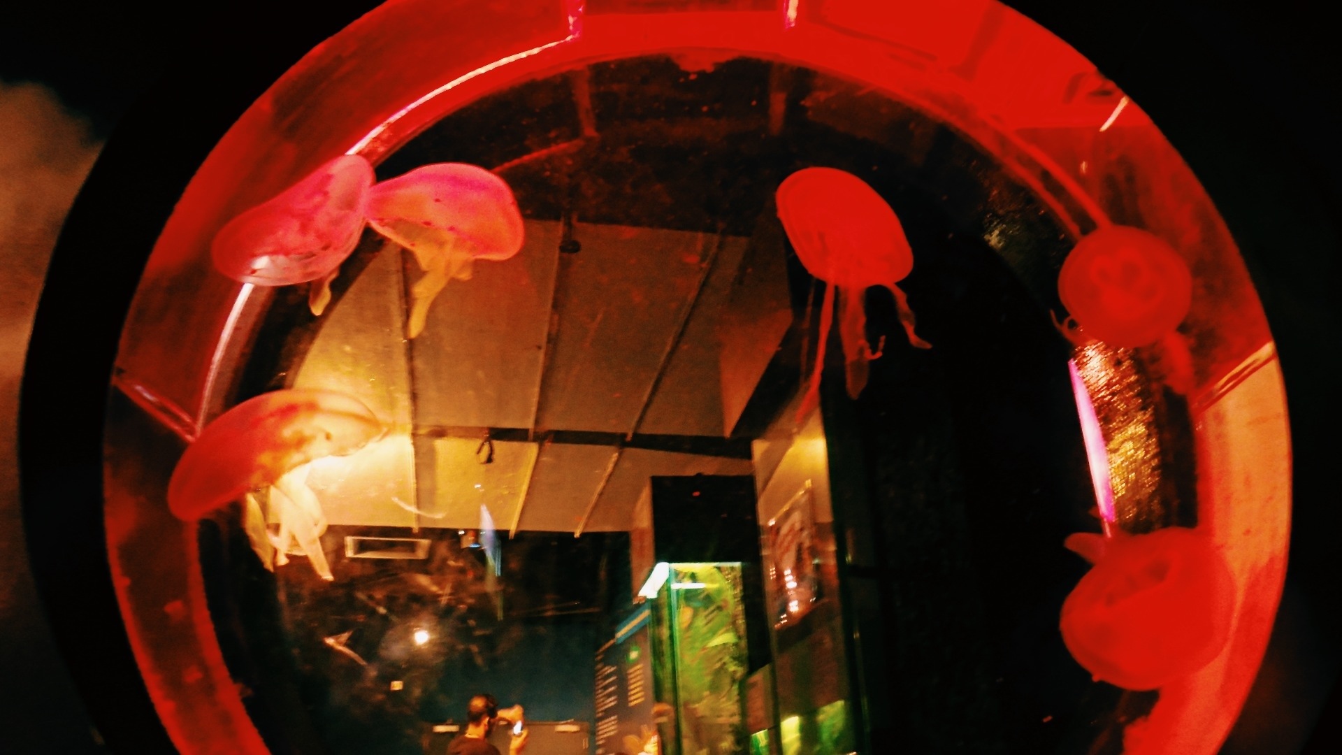 20131020-132026.jpg