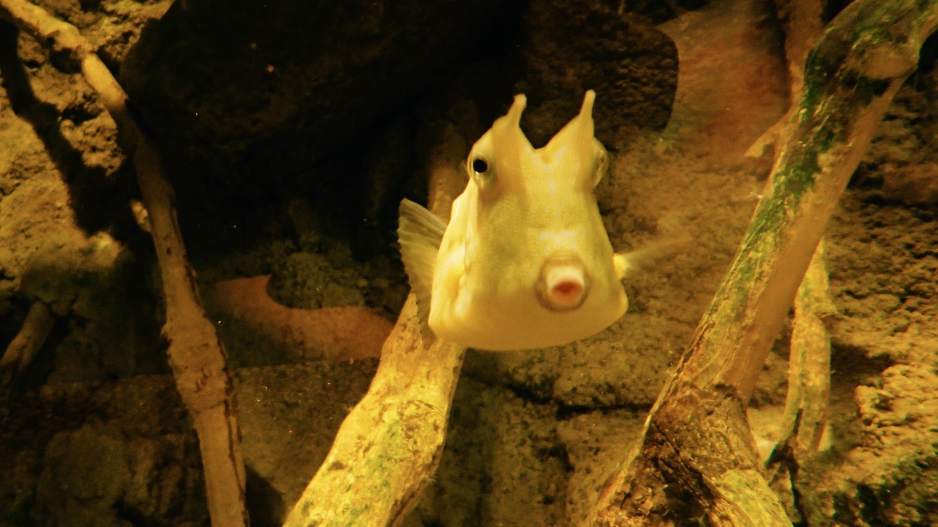 20131020-132129.jpg