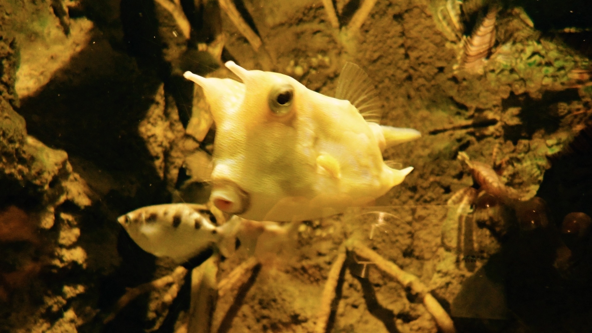 20131020-132138.jpg