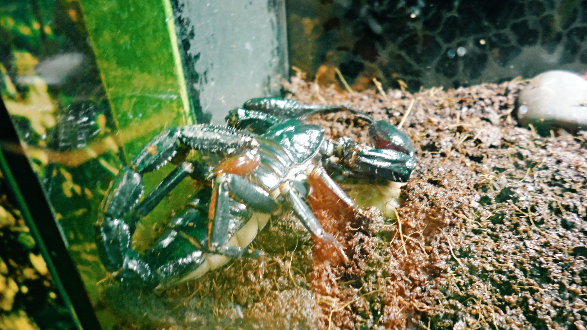 20131020-132309.jpg
