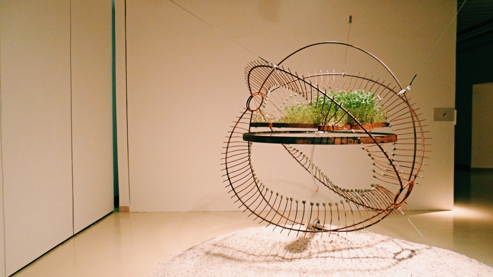 20131020-132504.jpg