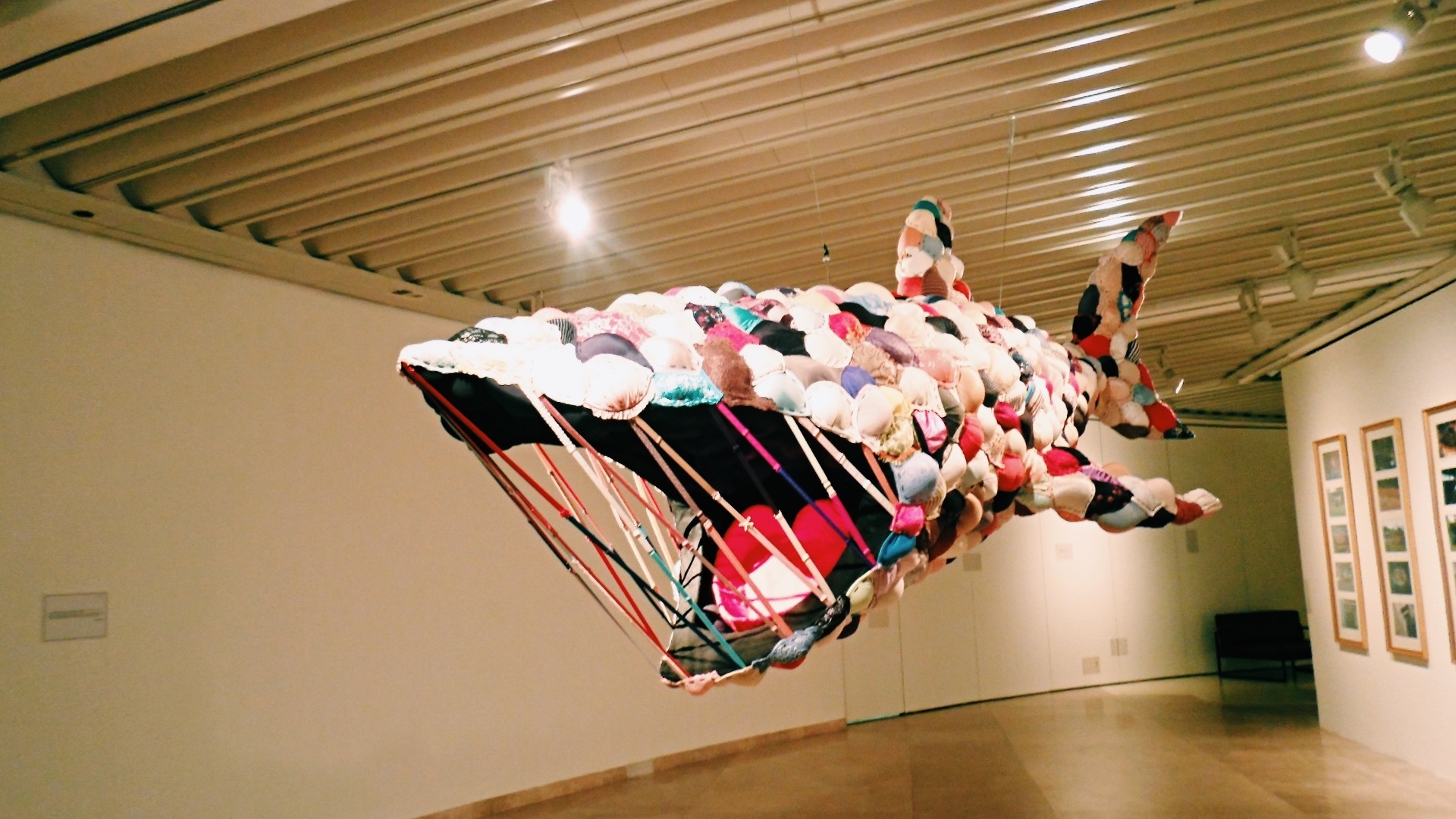 20131020-132632.jpg