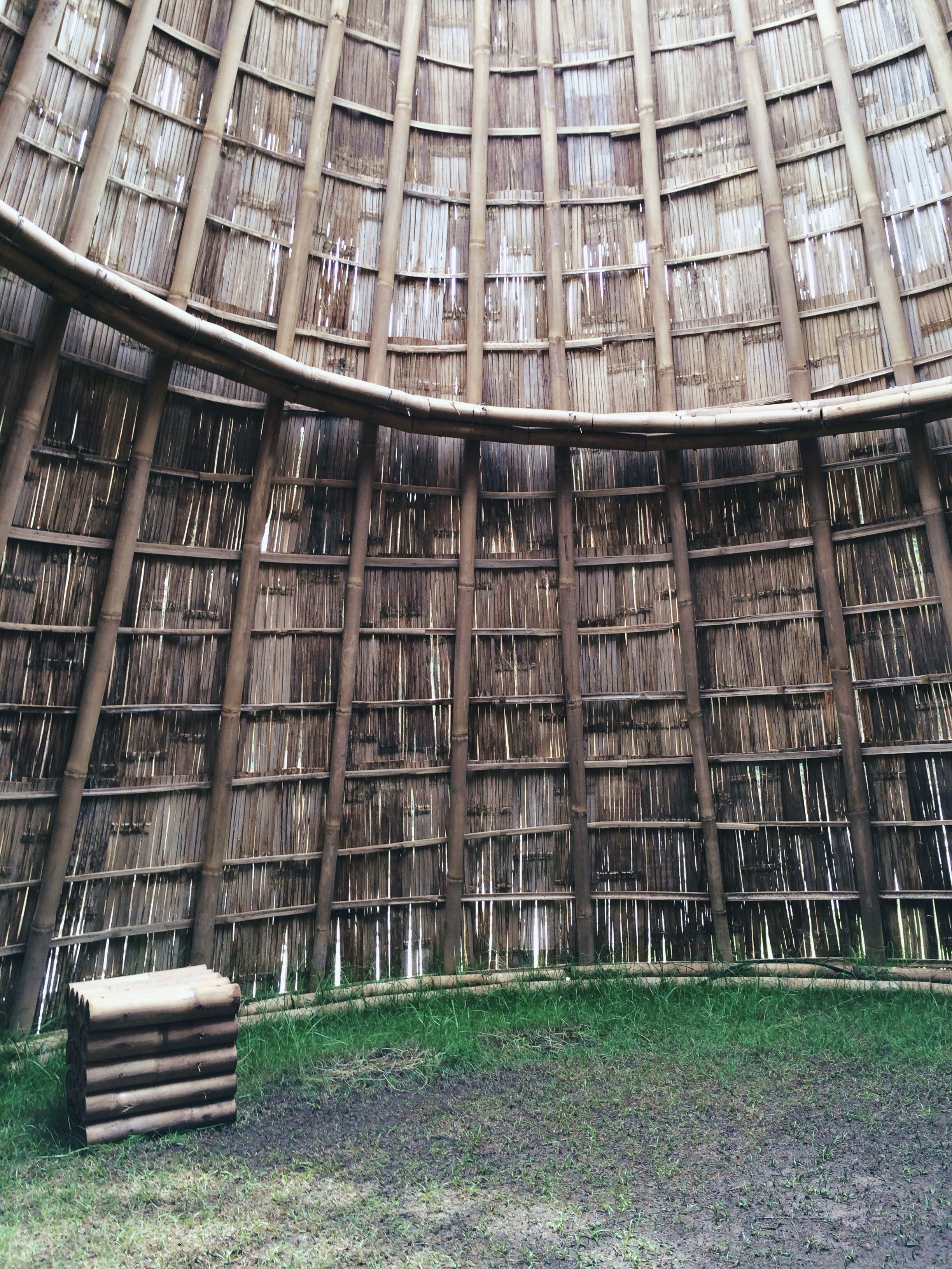 20131117-141532.jpg